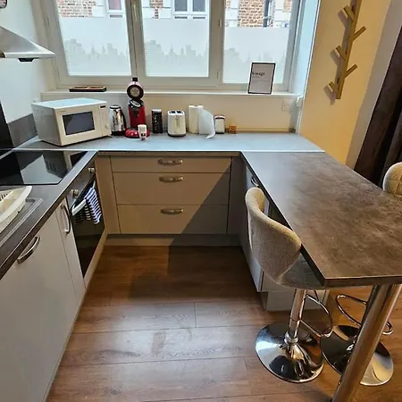 Apartment Old Avec Mezzanine Arras