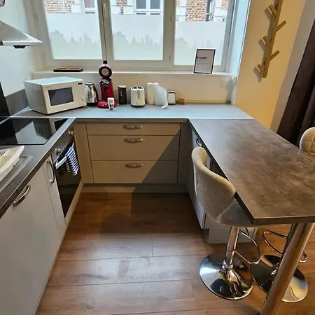 公寓 Old Avec Mezzanine 阿拉斯